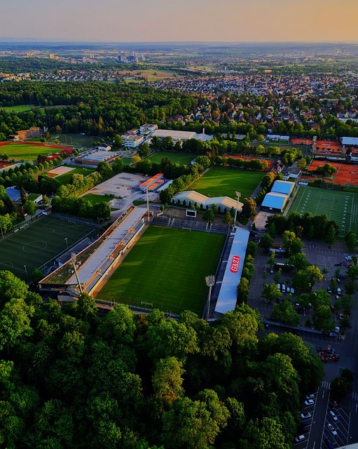 再结合新老 再结合新老